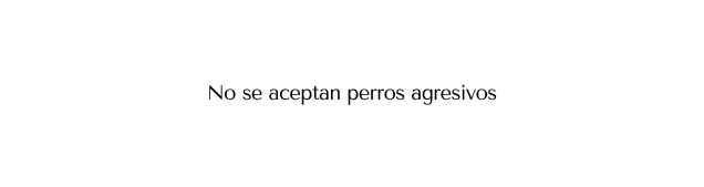 No se aceptan perros agresivos